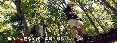 远景旅游投资网1